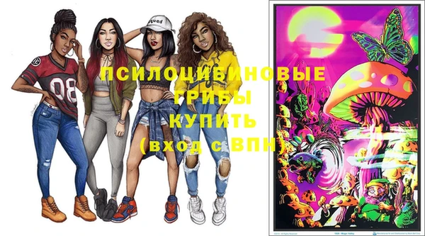 ешки Алексеевка