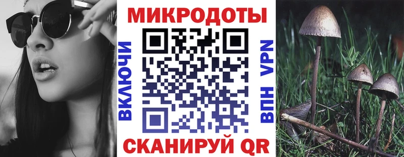 цена наркотик  Урюпинск  Галлюциногенные грибы Cubensis 